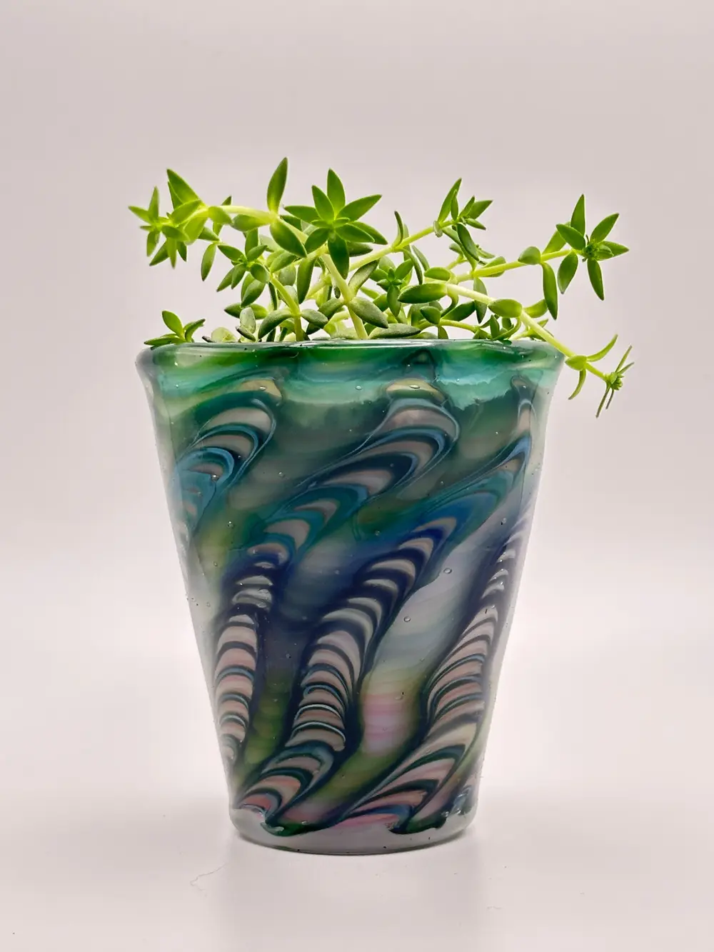Blue-green glass planter with intricate feathered bands and a branching succulent