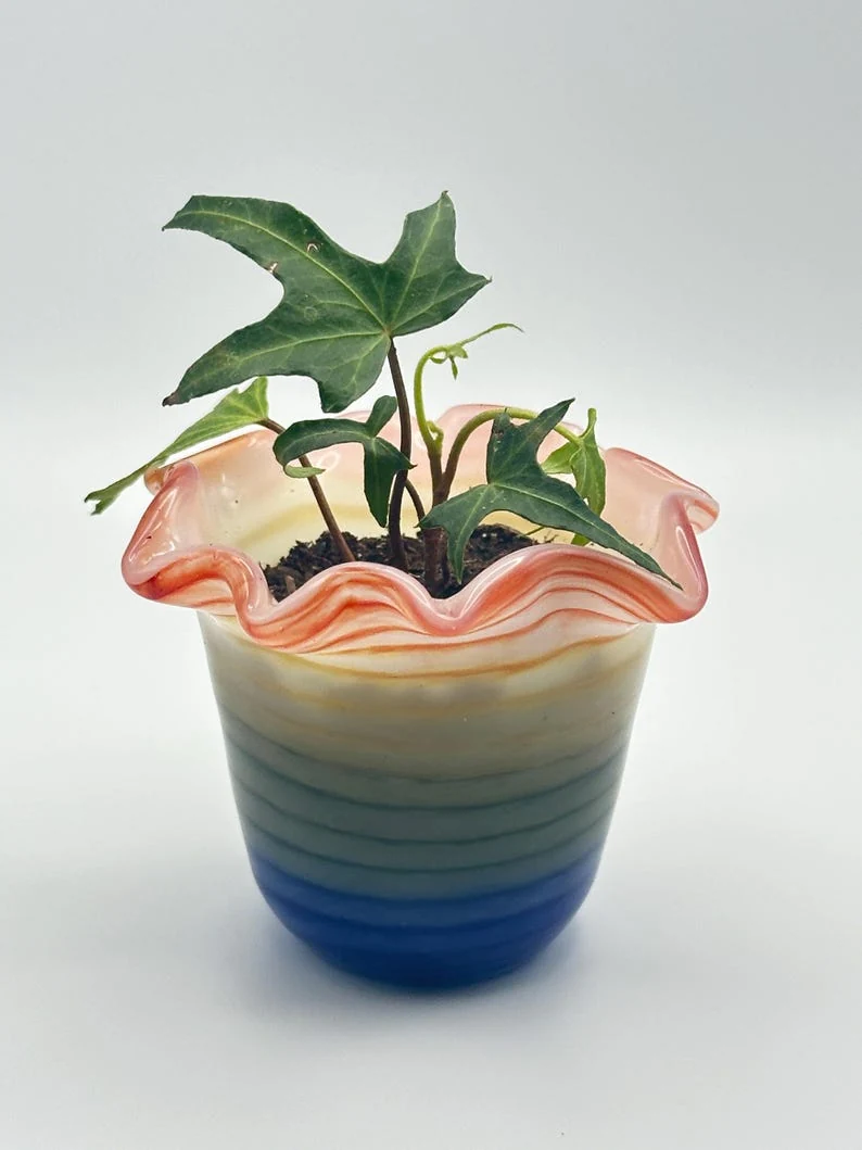 Rainbow glass planter with a ruffled orange rim and a small green plant